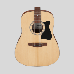 Gitara akustyczna Ibanez V