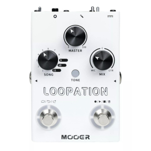 efekt gitarowy looper