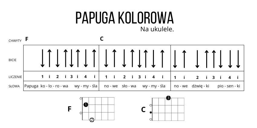 Papuga kolorowa chwyty