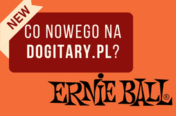Struny do gitary basowej Ernie Ball 2812 - struny, które przydadzą się każdemu basiście 