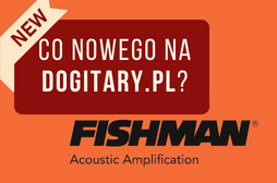 Efekt gitarowy do instrumentów akustycznych - Fishman AFX Mini Broken Record Looper/Sampler