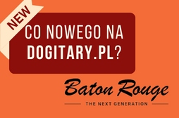 Doskonałe brzmienie gitary elektroakustycznej Baton Rouge AR11C/ACE