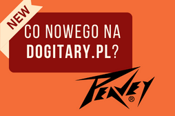Idealny wzmacniacz gitarowy specjalnie dla miłośników rock'n'rolla - Peavey 6505 1992 Original