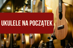 Jakie ukulele dla początkujących kupić?