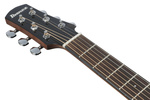 Gitara elektroakustyczna Ibanez AAM140E-MHS Advanced Mahogany Sunburst High Gloss