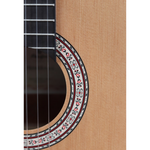 Zestaw gitara klasyczna 3/4 Prodipe Guitars Primera z pokrowcem i akcesoriami