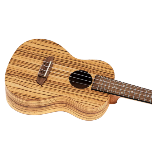 Ukulele koncertowe z pokrowcem Ortega RFU11Z