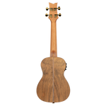 Ukulele koncertowe elektroakustyczne Ortega LIZARD-CC-GB paldao + pokrowiec