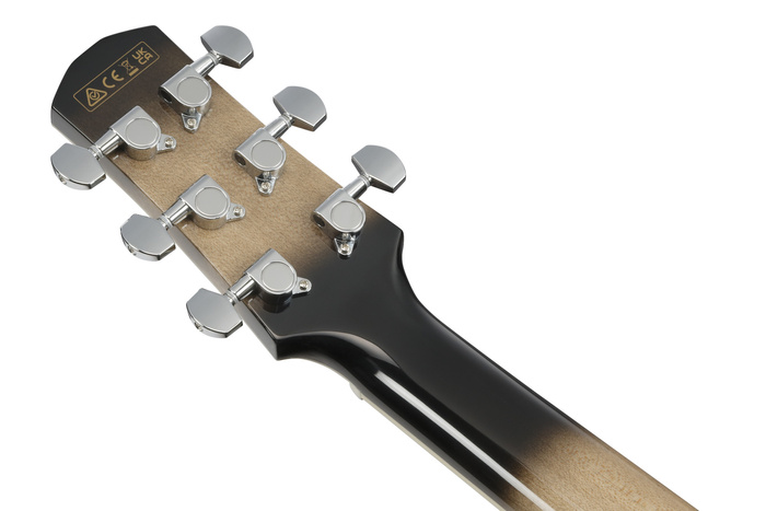 Gitara elektroakustyczna Ibanez AAM370M1CETPA Advanced Transparent Panda High Gloss 