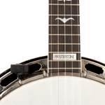 Tuner do banjo D'Addario PW-CT-16 microtuner