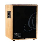 Wzmacniacz akustyczny combo 100W Ortega CONE-ASH