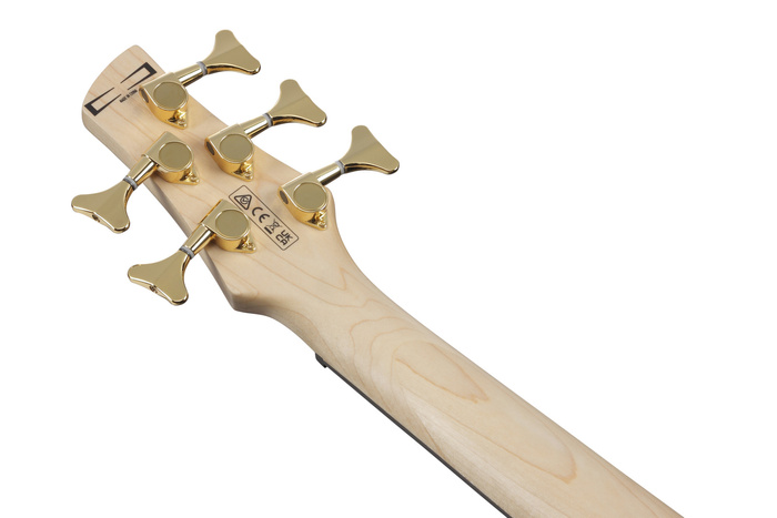 Gitara basowa Ibanez GSR205PC-TMU GIO SR Transparent Marine Burst 5-strunowa