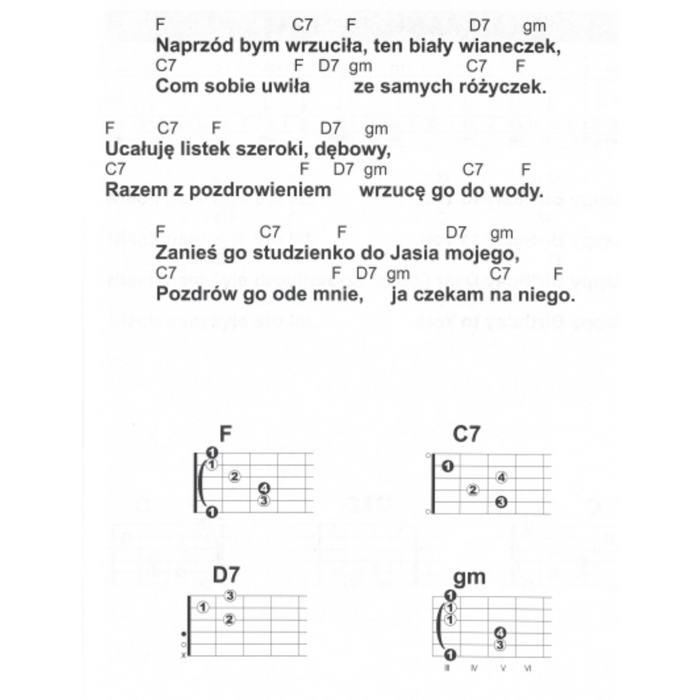 Śpiewnik biesiadny na gitarę - nuty na gitarę Absonic