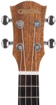 Ukulele koncertowe z mahoniu Cascha premium zestaw