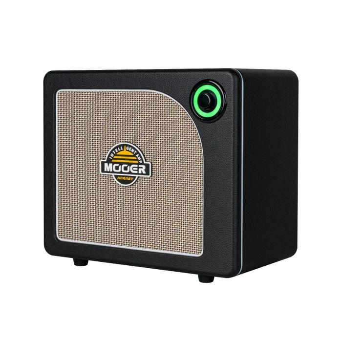 Wzmacniacz gitarowy combo Mooer Hornet 15i czarny 15W