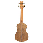 Ukulele koncertowe elektroakustyczne Ortega LIZARD-CC-GB paldao + pokrowiec
