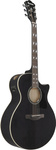 Gitara elektroakustyczna Ibanez AE170-TBK Transparent Black High Gloss