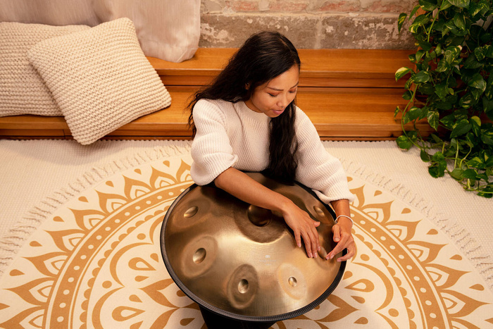 Handpan MEINL Sonic Energy Sensory HPSTL91 D Amara 9 Stainless Steel 440 Hz