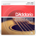 D'Addario EJ17 struny do gitary akustycznej Phosphor Bronze Light 13-56