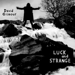 David Gilmour - Luck and Strange LP płyta winylowa