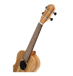 Ukulele koncertowe z pokrowcem Ortega RFU11Z